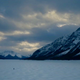 Image for article titled The Revenant reimagines the look of the Western by squeezing the wild frontier